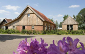 Hotels in Rossum